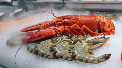Close Up of Large Lobster and Tiger Prawns on Ice