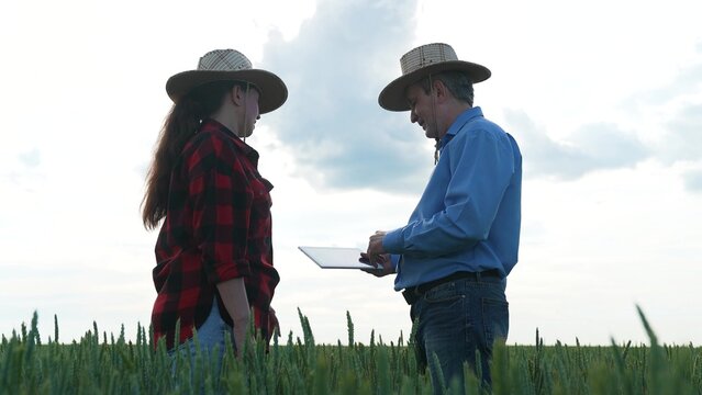 Business deal in wheat field, Successful partnership handshake, Mens handshake in the country, Agreement on agricultural business, Farming cooperation under the sky, Rural deal and negotiation