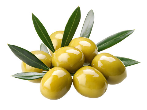 Fresh green olives with vibrant leaves exuding a Mediterranean vibe perfect for food and cooking themes isolated on transparent background, png