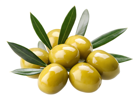 Fresh green olives with vibrant leaves exuding a Mediterranean vibe perfect for food and cooking themes isolated on transparent background, png