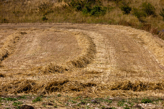 Alphabetic abstract of mown fields, Roccaraso, Abruzzo, Italy