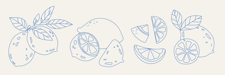 Lemon doodle set with slices and leaves