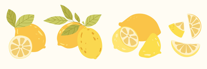 Flat lemon set with slices and leaves