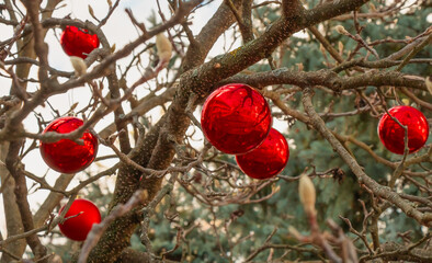 Red Christmas ornaments hanging on bare tree branches creating a festive outdoor holiday scene