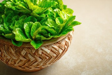 Intricate Tongan Ava Bowl with Leaves