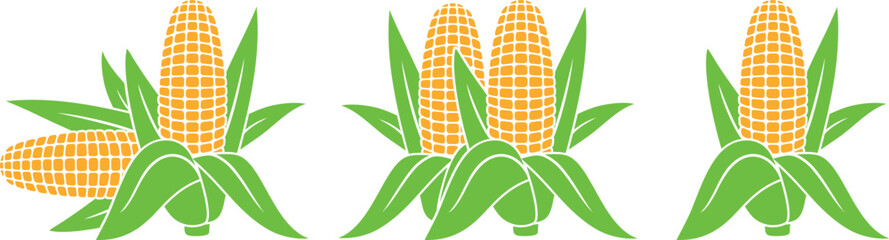 Corn logo. Isolated corn on white background