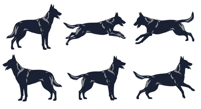 Set of Dog Silhouettes Showing Canine Action Movement and Static Poses