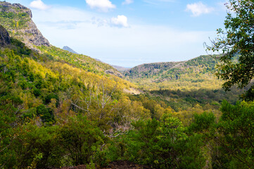 View on Black River Gorge National Park near Chamarel, Mauritius. Black River Gorges National Park on Mauritius.
