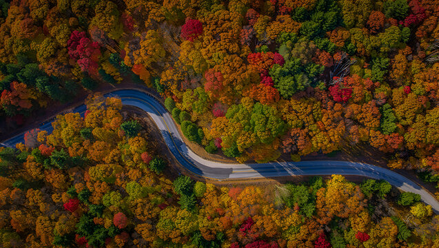 Aerial view of a winding road cutting through a vibrant autumn forest, showcasing a beautiful fall landscape from above.