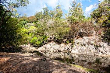 Hike through the Black River Gorges National Park, Mauritius.