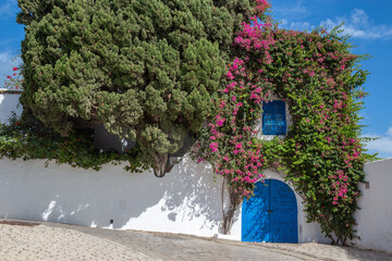 Streets with typical Tunisian architecture in Sidi Bou Said, Carthage, Tunisia, North Africa