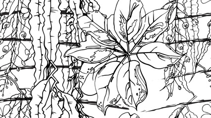 black and white image of a tree