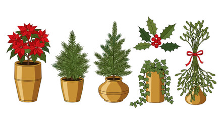 Fototapeta premium Illustration of various potted plants including poinsettia, evergreen, and mistletoe
