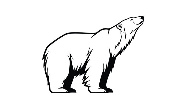 Stylized line drawing of a polar bear looking upwards