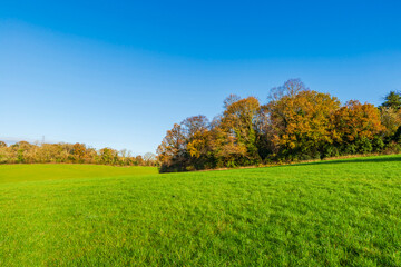 Naklejka premium View of open countryside in Croxley Green, Herdfordshire.