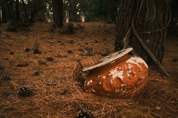 A rustic, weathered clay pot resting on a forest floor covered with dry pine needles, pine cones, and tree roots.