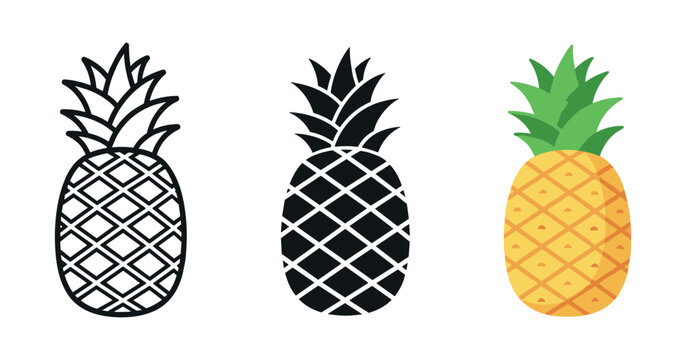 Three pineapple illustrations: outline, silhouette, and colorful design
