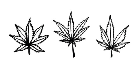 Set of hand drawn cannabis leaf Medicine marijuana Hemp leaves clipart in doodle style Single element for print, web, design, decor