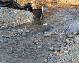 Flood damage on a small river caused by heavy rain and a small culvert.