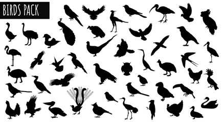 Avian silhouettes pack: A comprehensive collection showcasing the elegant profiles of diverse avian species in graceful flight and rest. 