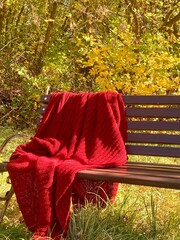 Red blanket draped over a bench surrounded by vibrant fall foliage in a serene park setting