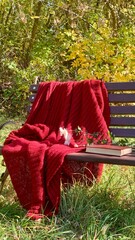 Cozy red blanket draped over bench in autumn park with colorful foliage and a book waiting to be read