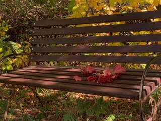 A peaceful bench surrounded by fall leaves and grapes in a serene garden setting