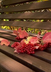 Bright red berries and autumn leaves scattered on a wooden bench in a serene park setting during a sunny day
