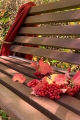 Colorful autumn leaves and berries scattered on a wooden bench in a serene garden during fall
