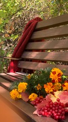 Colorful flowers and a warm blanket on a wooden bench in a serene outdoor setting during autumn