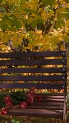 Cozy wooden bench surrounded by vibrant autumn leaves and blooming flowers in a tranquil park setting