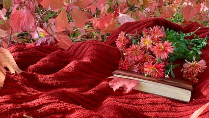 Cozy autumn scene with a red blanket, flowers, and an open book amid colorful foliage