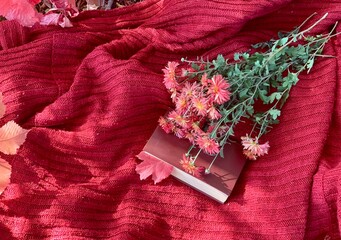 Red blanket with flowers and a book surrounded by autumn leaves in a cozy setting