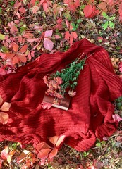 Cozy autumn scene with a red blanket, flowers, and colorful leaves in a natural setting