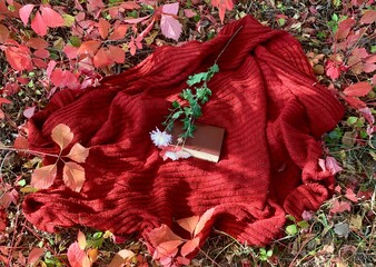 Cozy blanket and flowers resting on colorful autumn leaves in a serene outdoor setting