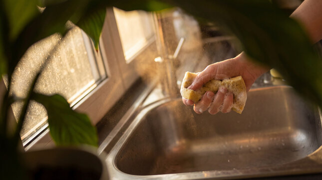 Close-up of a hand squeezing a soapy sponge above a kitchen sink. Ideal for cleaning tips or domestic lifestyle articles, featuring natural light.