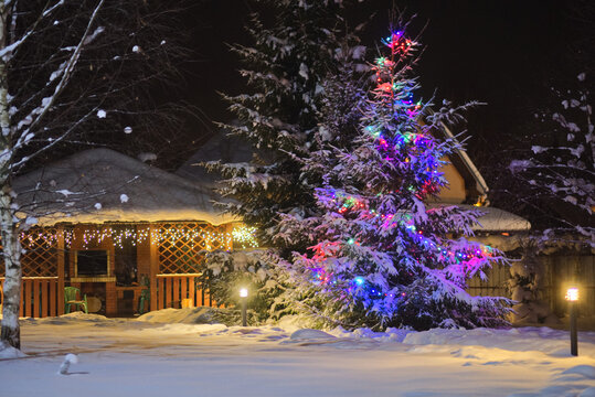 Christmas tree in the nightlights under snow 