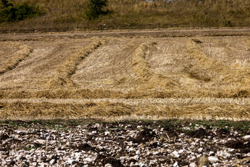 Abstract, linear composition of different soil types and crops, Roccaraso, Abruzzo, Italy
