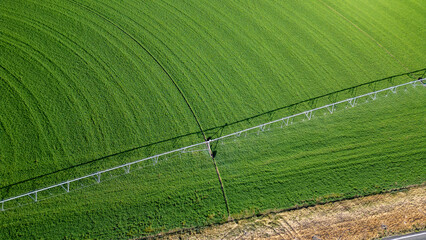 Stock image of agriculture and farming in Nevada.
Aerial view of the farmer’s green field at sunrise.
Agriculture: Green Crop Irrigation.
A farmer keeps his field green and lush with a huge sprinkler.