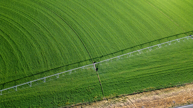 Stock image of agriculture and farming in Nevada.
Aerial view of the farmer’s green field at sunrise.
Agriculture: Green Crop Irrigation.
A farmer keeps his field green and lush with a huge sprinkler.