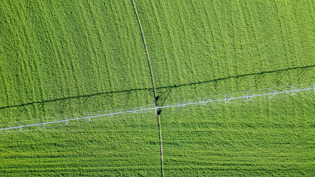 Stock image of agriculture and farming in Nevada.
Aerial view of the farmer’s green field at sunrise.
Agriculture: Green Crop Irrigation.
A farmer keeps his field green and lush with a huge sprinkler.