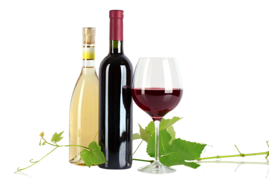 Red Wine Bottle Mockup with Blank Label on Dark Background. Pouring Red Wine into a Glass During Dinner..Elegant Still Life of White Wine Glass and Corkscrew .Wine Tasting Event: Close-up of Sommelier