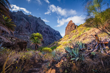 Schlucht von Masca auf Teneriffa