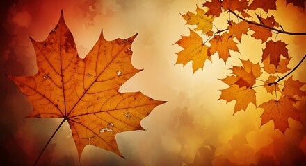 Close up of orange maple leaves on branch with textured background autumn fall