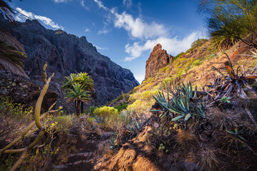Schlucht von Masca auf Teneriffa