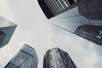 Elevated architecture and sleek skyscraper silhouettes defining the skyline of Frankfurt Germany, merging modern corporate finance presence with smooth reflection transitions and upward perspective