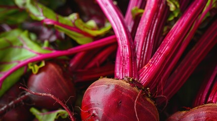 Fresh red beetroots with green leaves. The beetroots are round and smooth, showcasing a vibrant red color. The leaves are leafy and green, adding freshness to the scene.