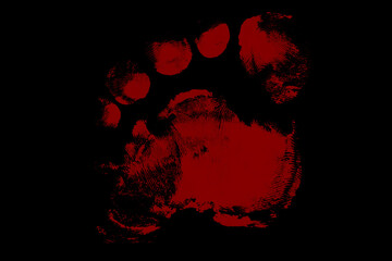 Single bloody footprint on black surface for horror concept © Tonmoy