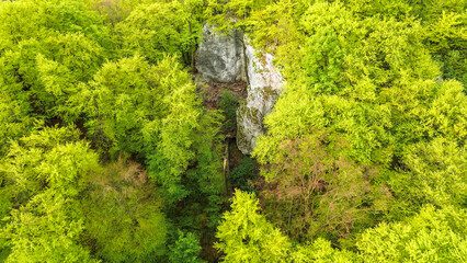 Forest nature landscape with cliff view