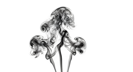 Abstract black smoke swirls dynamically, forming an ethereal shape, isolated on transparent background